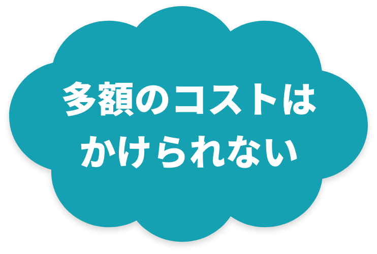 多額のコストは かけられない